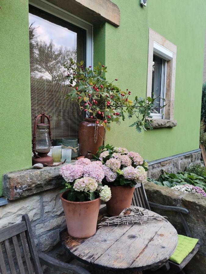 Auszeit Leilighet Freital Eksteriør bilde