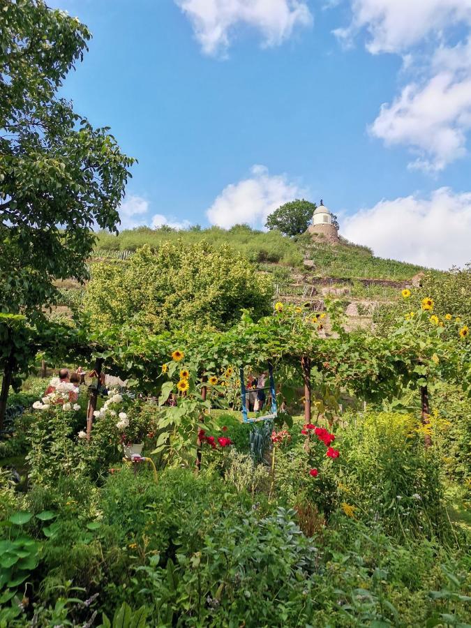 Auszeit Leilighet Freital Eksteriør bilde